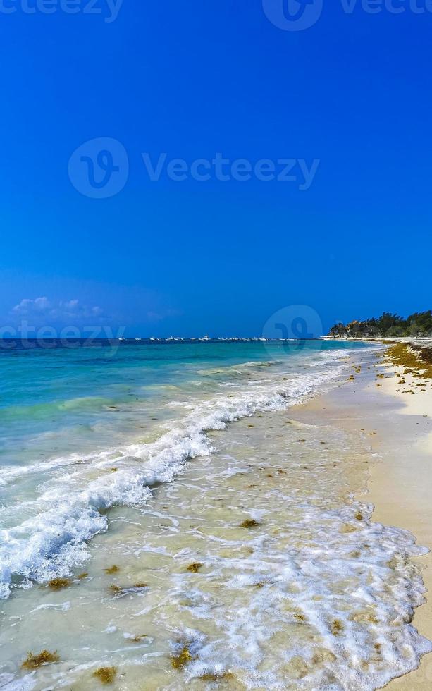 tropisk karibiska strand klar turkos vatten playa del carmen Mexiko. foto