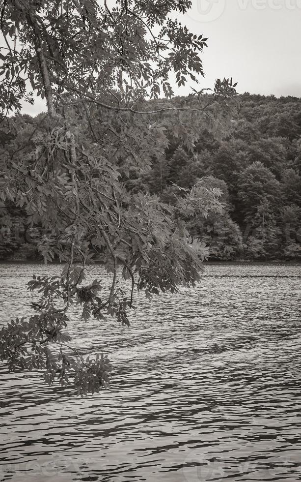 plitvice sjöar nationell parkera färgrik landskap turkos vatten i kroatien. foto