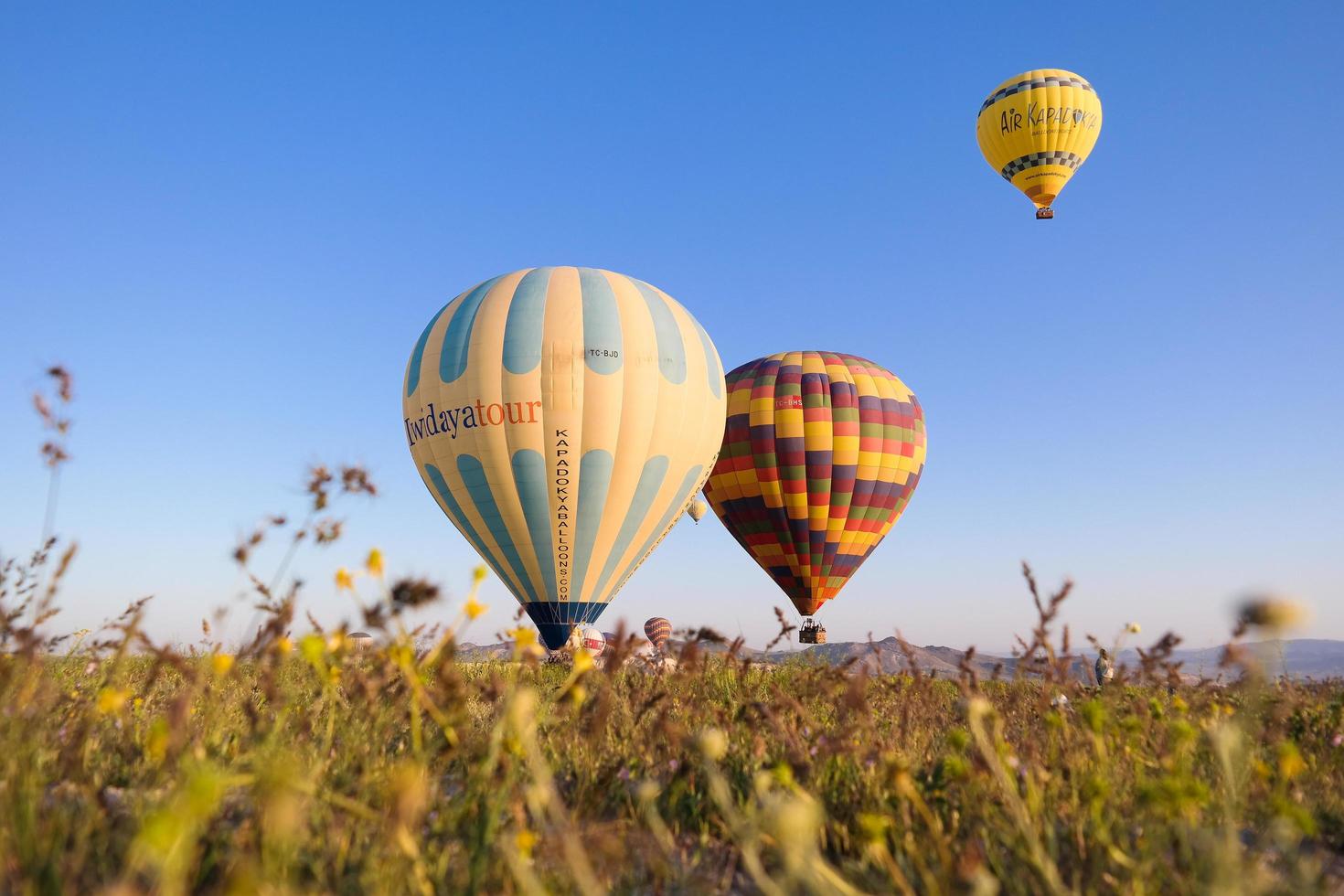 istanbul, kalkon, 2020 - luftballonger som flyger över ett fält foto