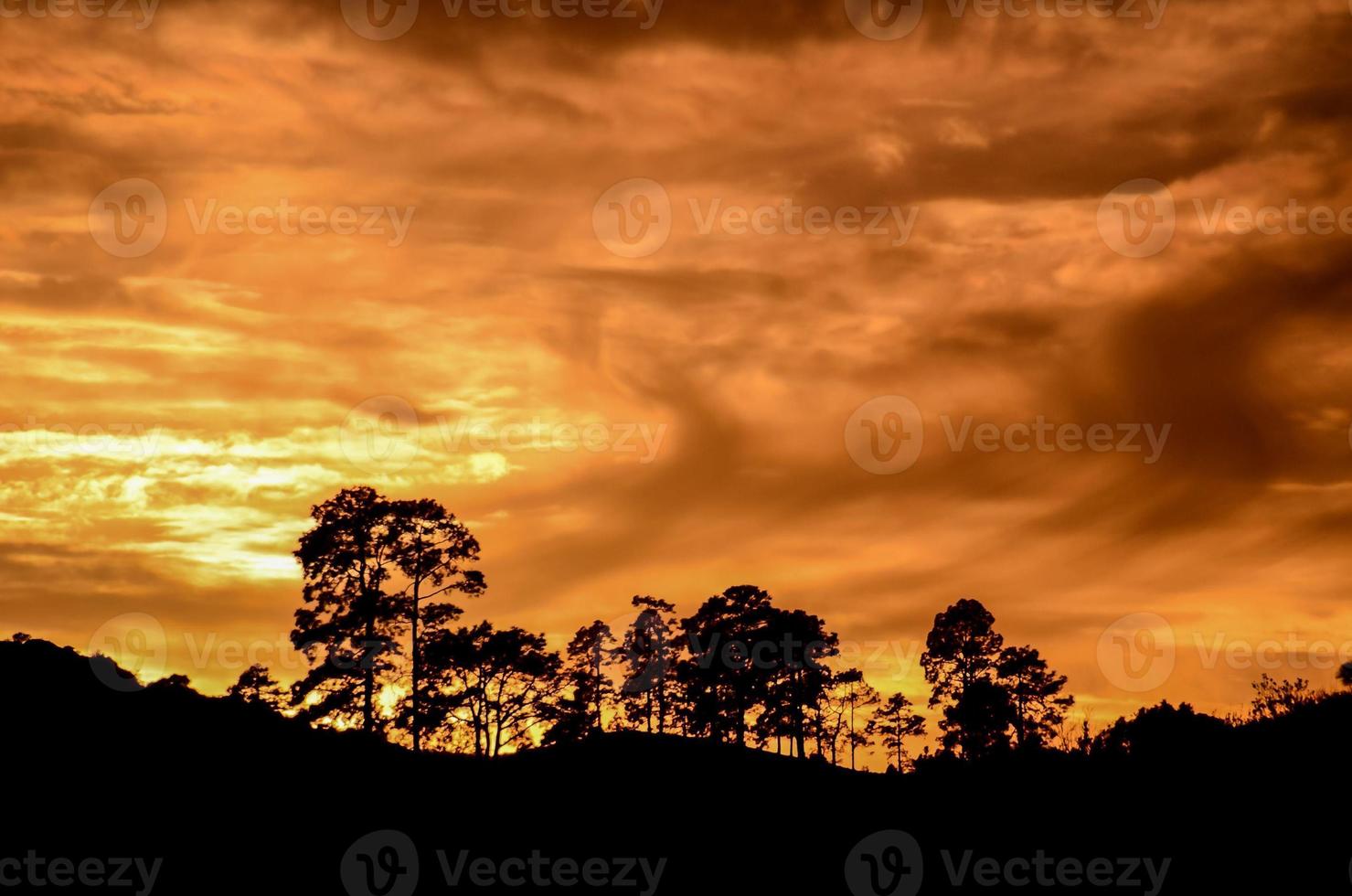 landskap över de solnedgång foto