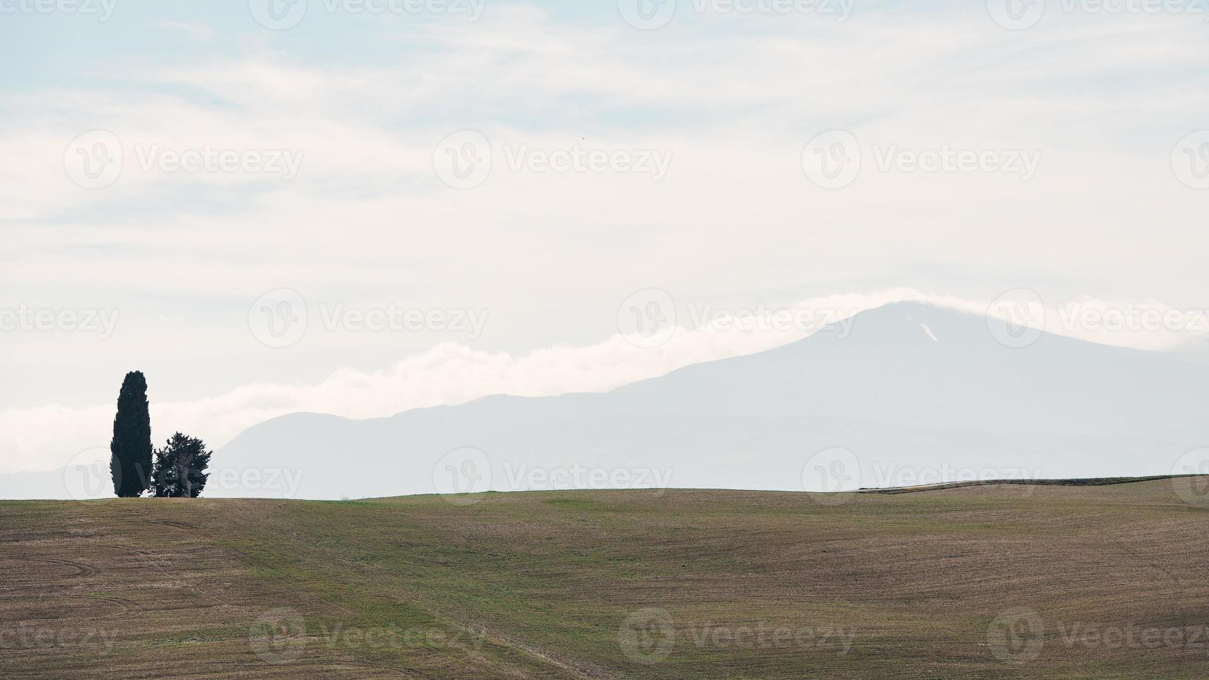 panorama med en cypress och i de distans montera amiata. tuscany Italien foto