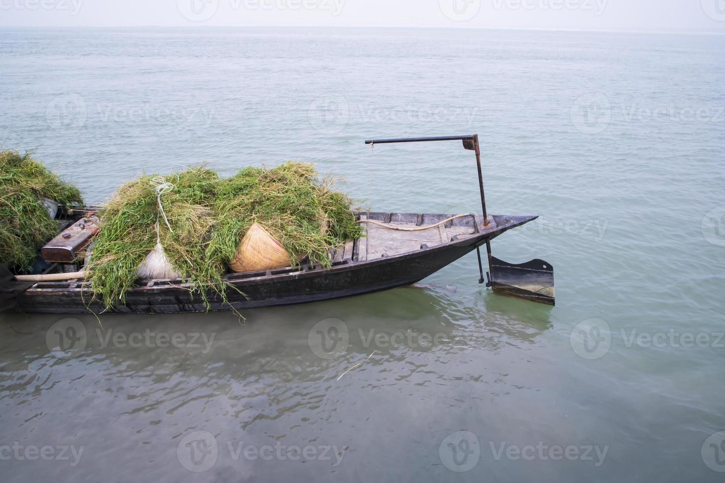 staplade grön gräs på de båt på de Strand av de padma flod i bangladesh foto