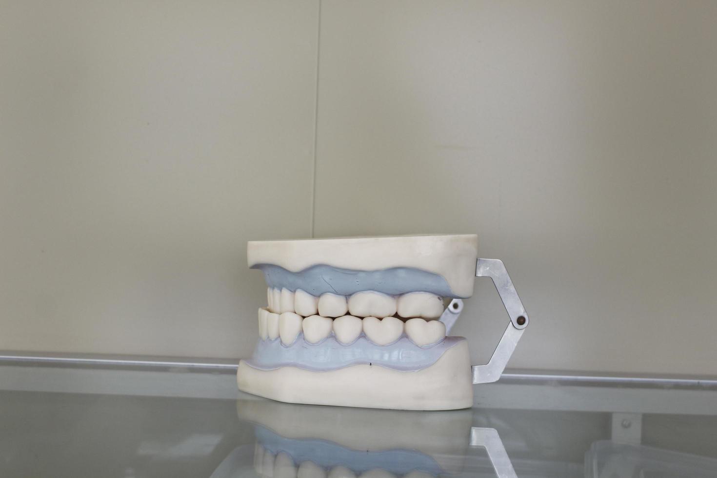 dental tänder rekvisita bilder foto