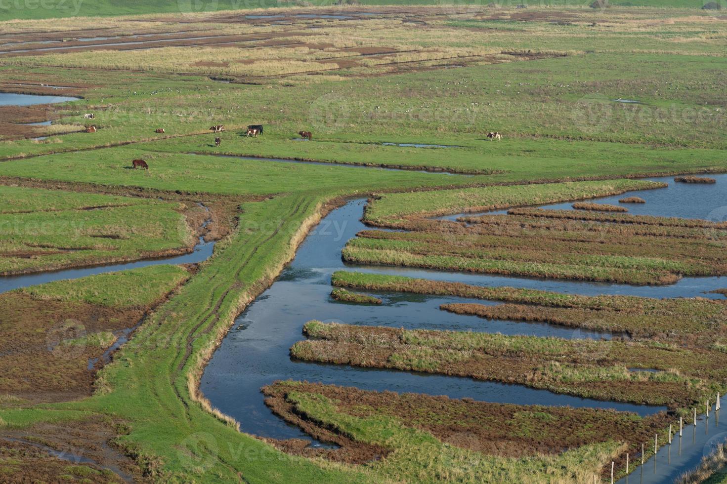 Översikt från de våtmarker i burgh-haamstede, från de plompe torn. Zeeland, de nederländerna. foto
