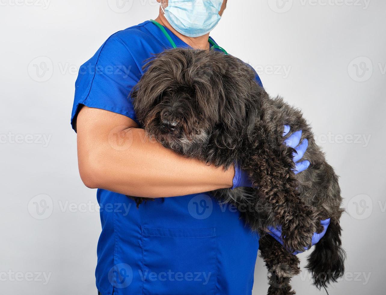 läkare i blå enhetlig och steril latex handskar innehav en fluffig svart hund foto