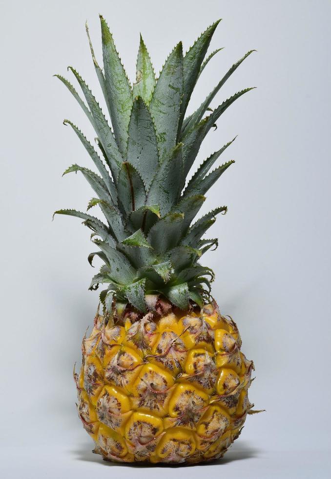 ananas på vit bakgrund foto