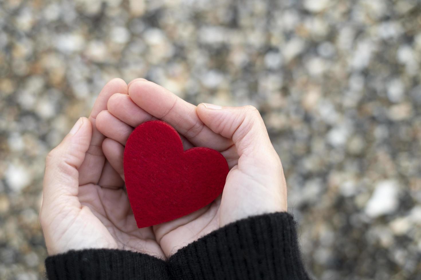 rött hjärta mellan händerna på en kvinna på en bakgrund av strandstenar. begreppet san valentin foto