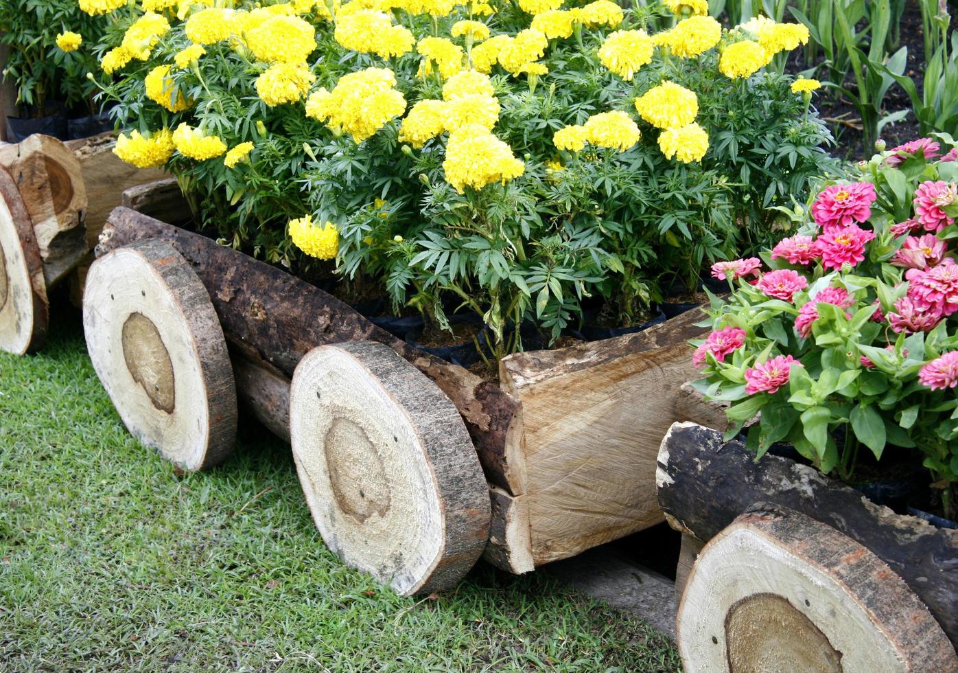 gula blommor i en trävagn foto