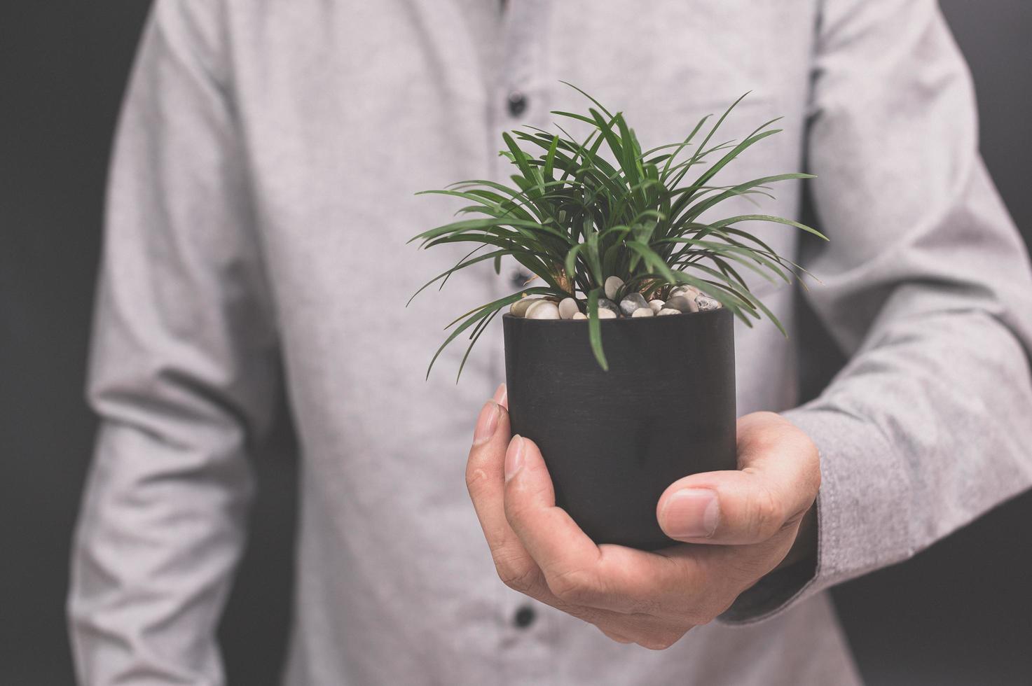 växtkruka i mänskliga händer älskar naturkoncept kärleksträd foto