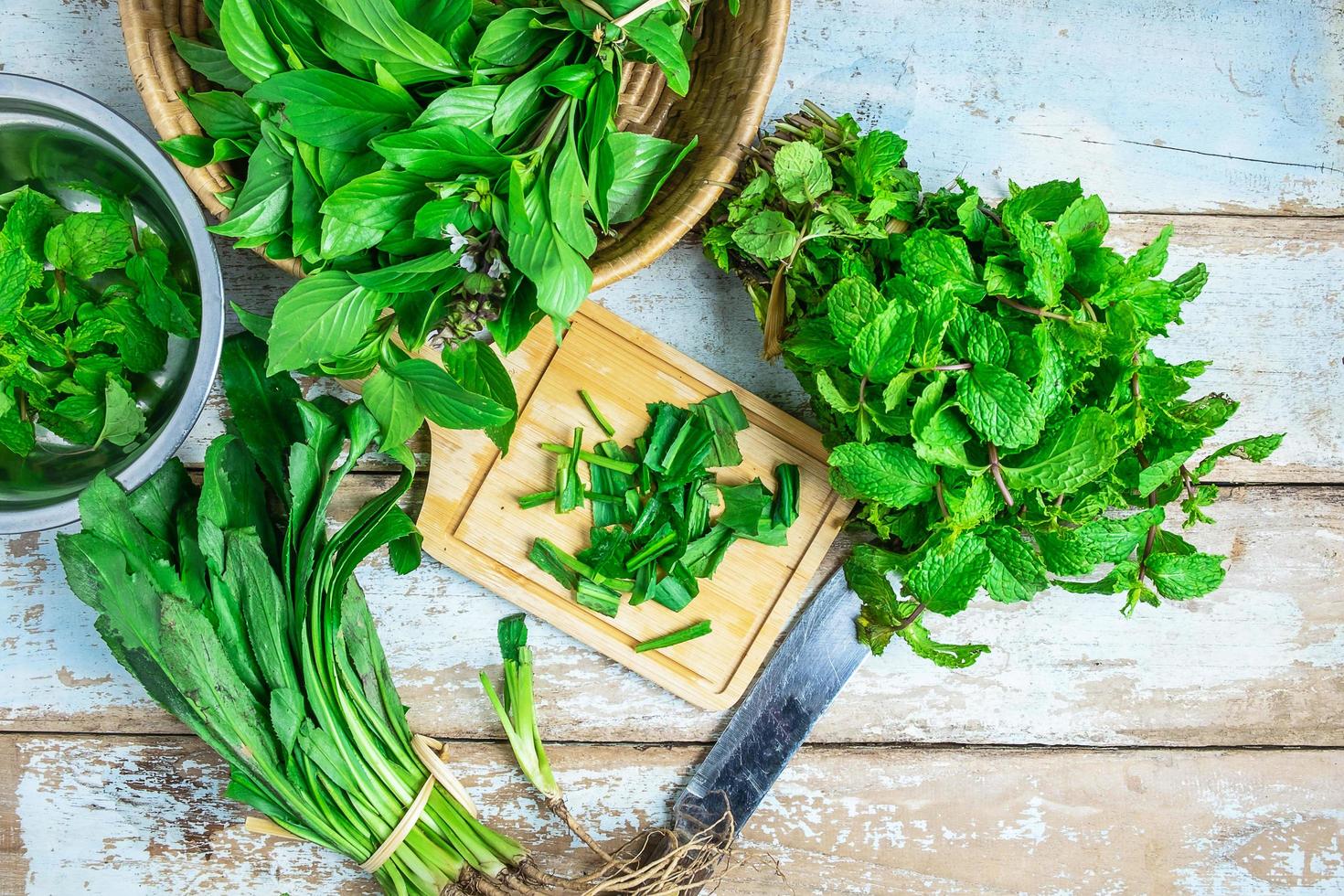 mynta örter och culantro örter för hälsan foto