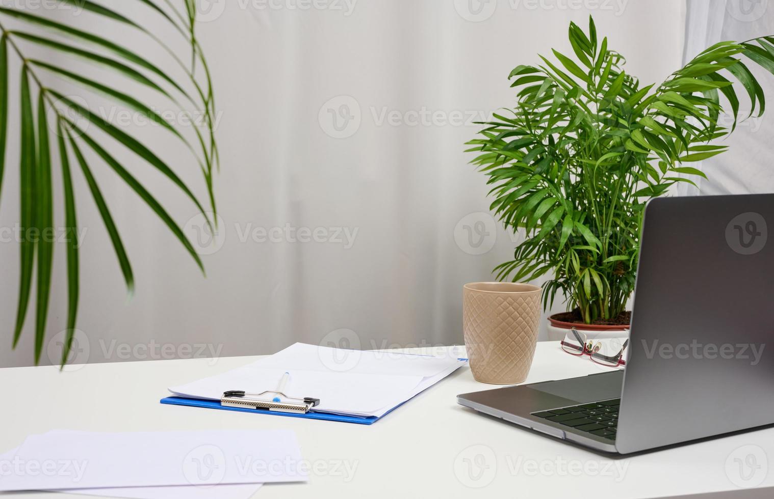 vit tabell med bärbar dator och kastruller med växter, frilans arbetsplats foto