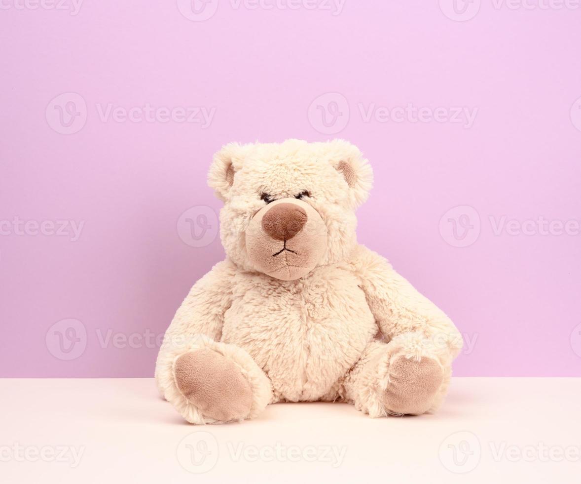 söt beige teddy Björn Sammanträde på lila bakgrund foto