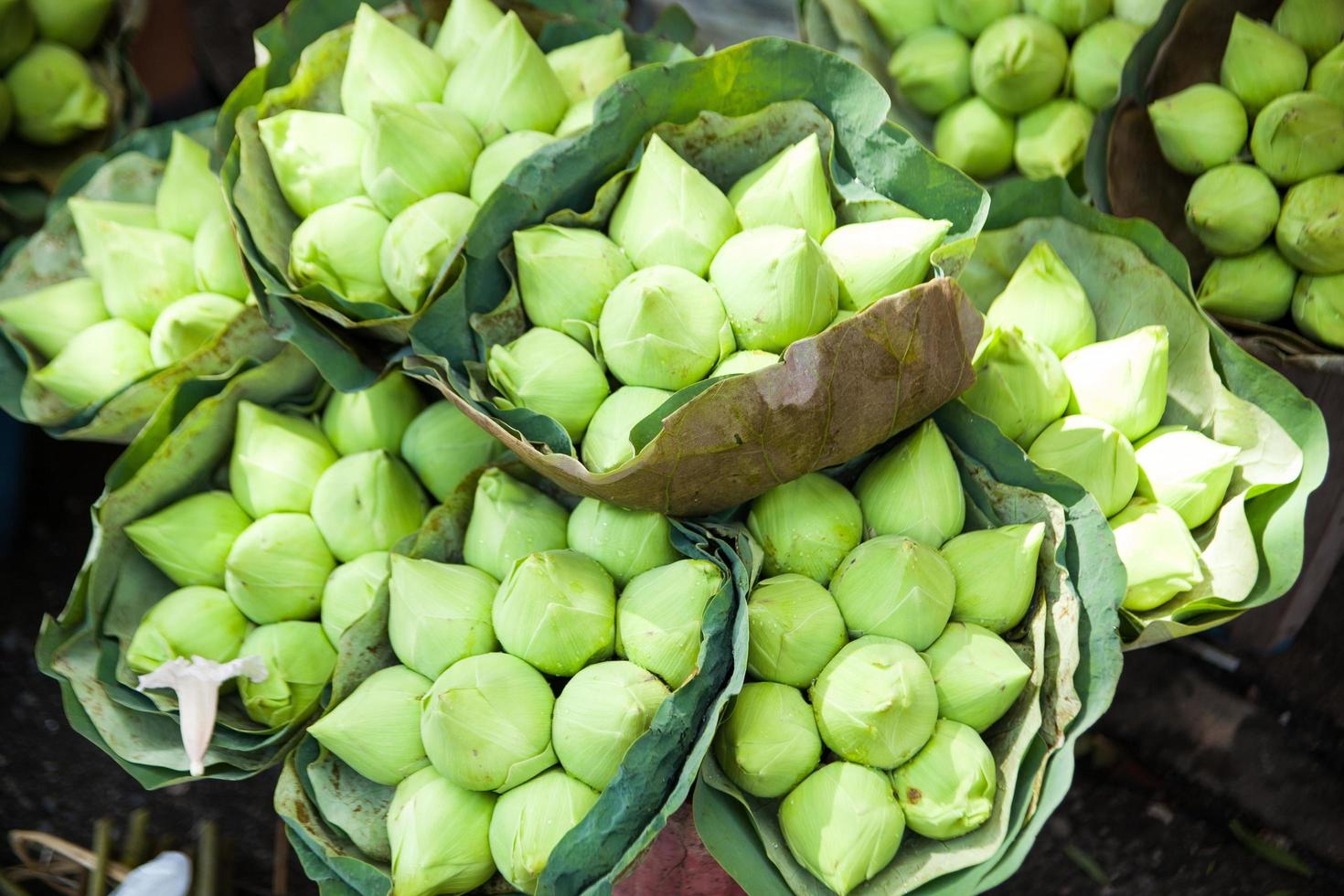 lotus på marknaden foto