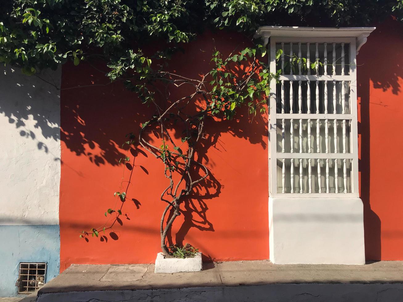 cartagena, colombia, 2020 - träd mot färgglad byggnad foto
