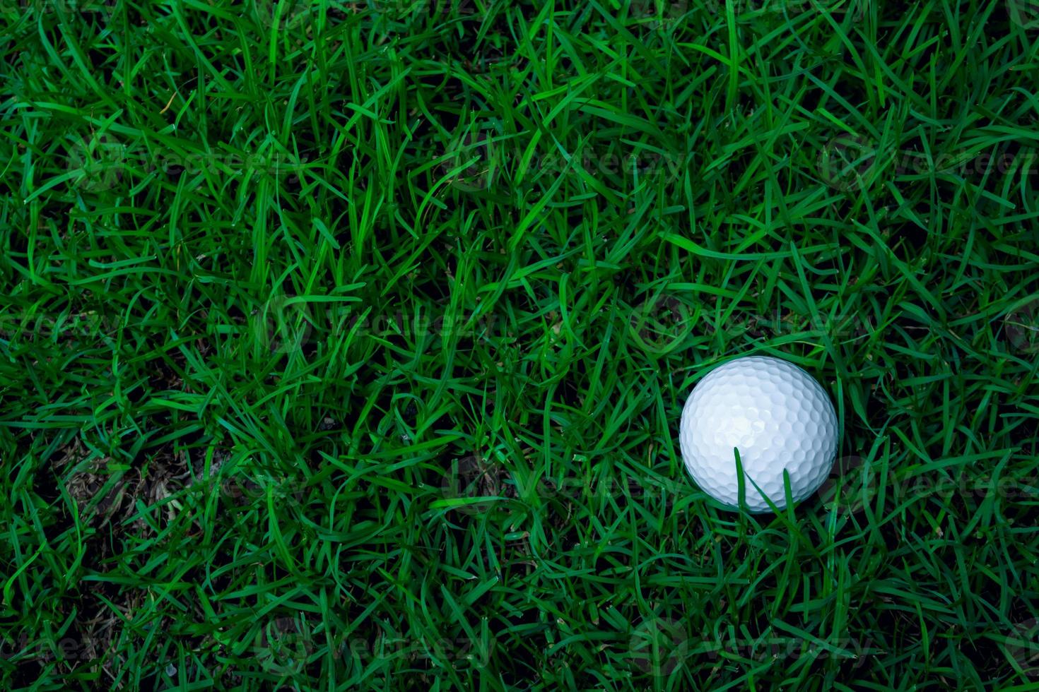 grön gräs med golf boll närbild i mjuk fokus på solljus. sport lekplats för golf klubb begrepp foto