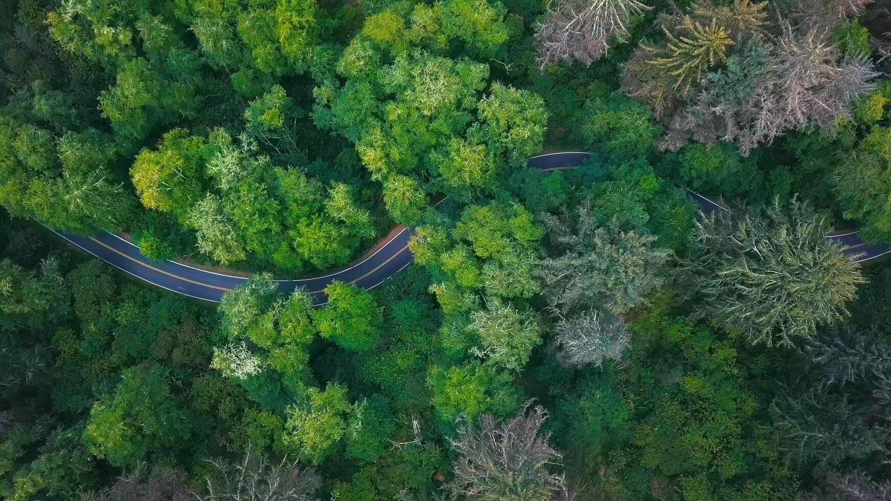 oregon och mexico foto