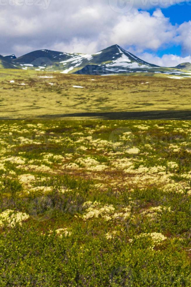 skön berg och landskap natur panorama rondane nationell parkera Norge. foto