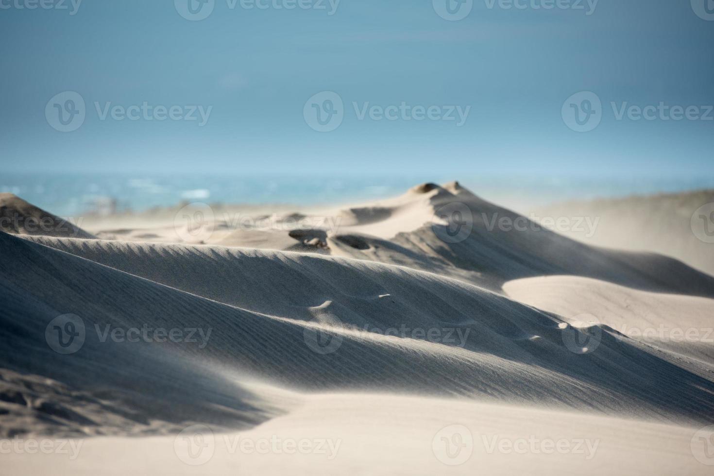 öken- strand sand sanddyner på blåsigt dag foto