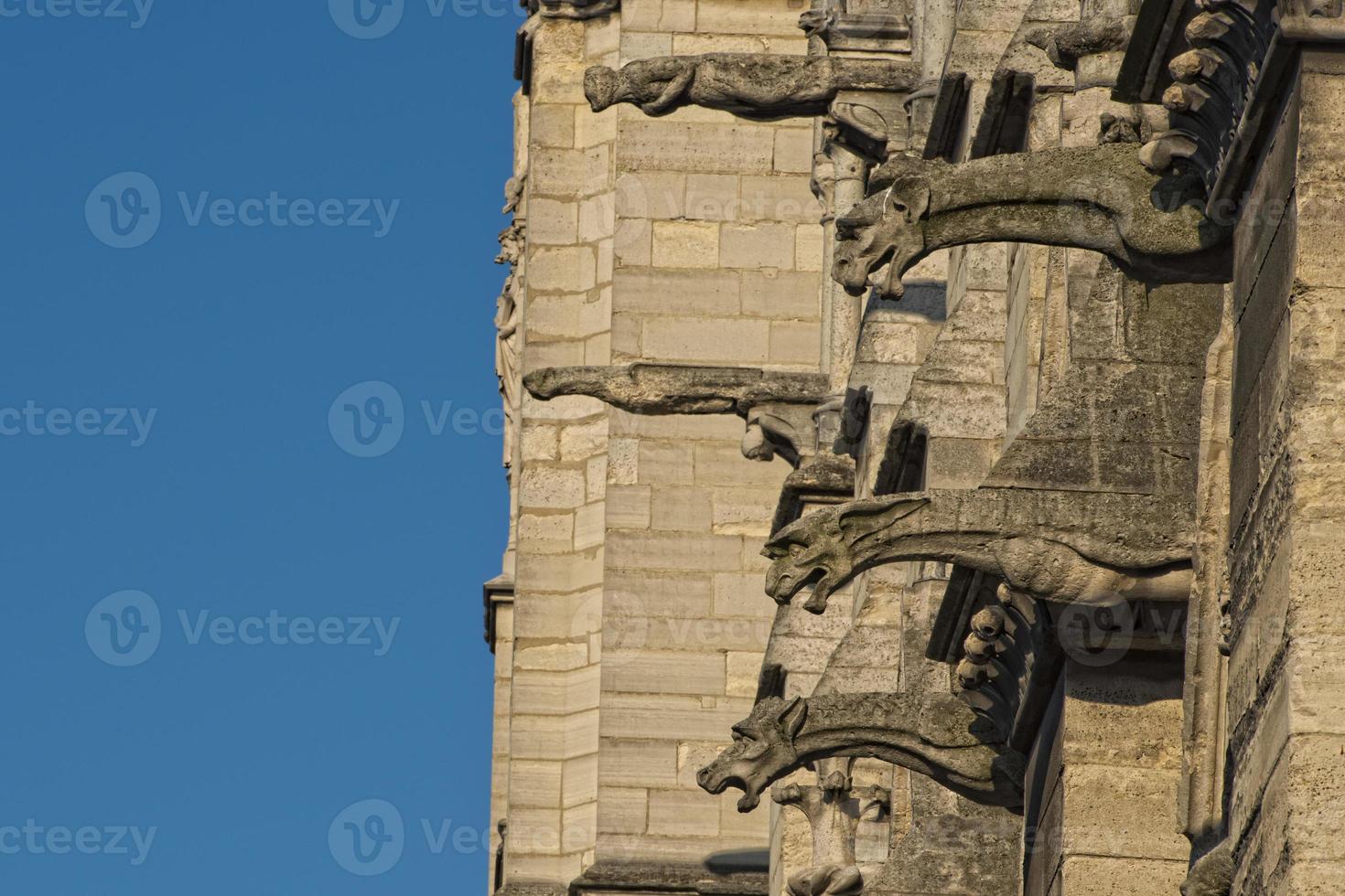 notre dame paris statyer och gargoyles foto