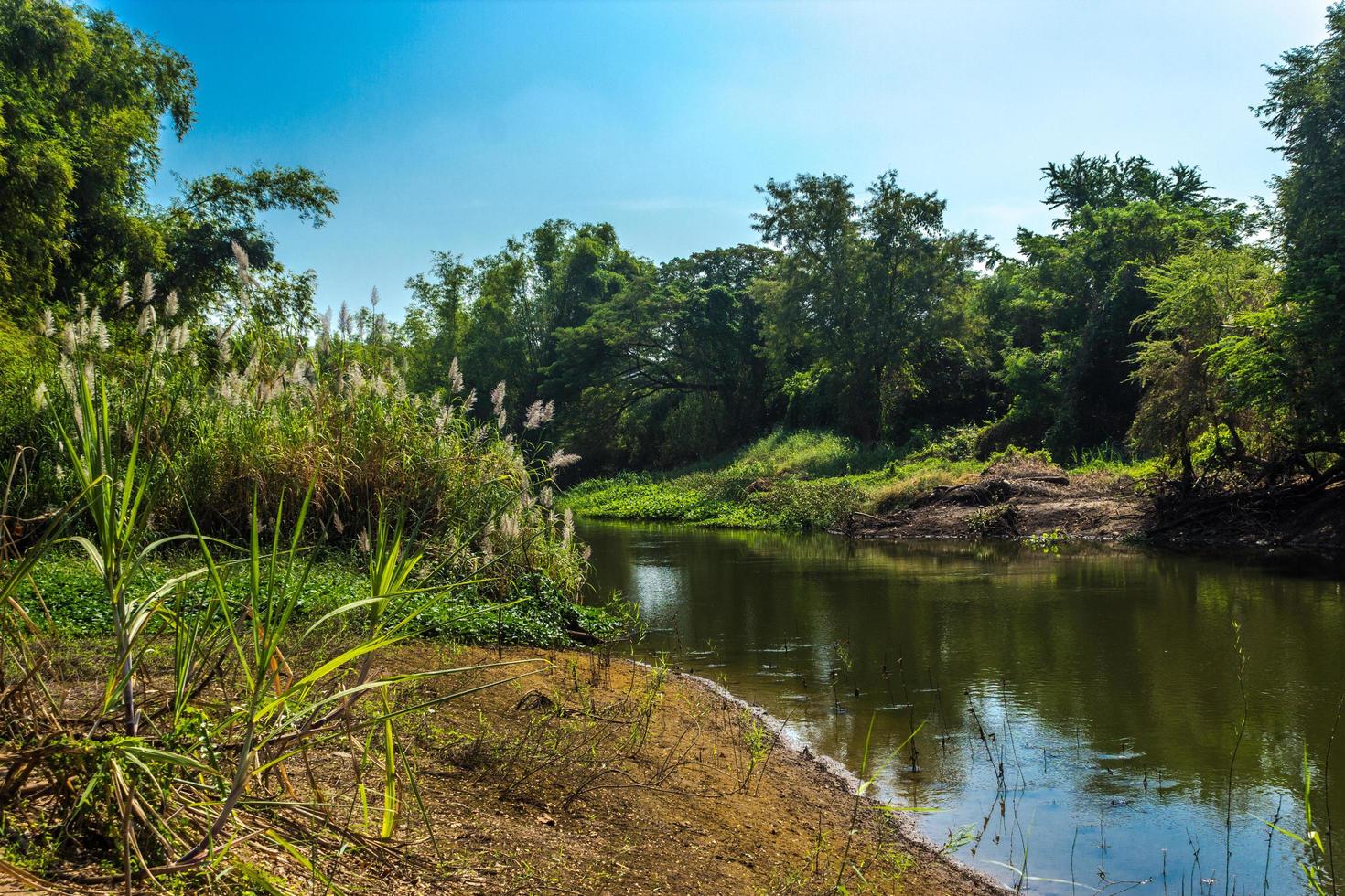 flod, skog och blå himmel i Thailand foto