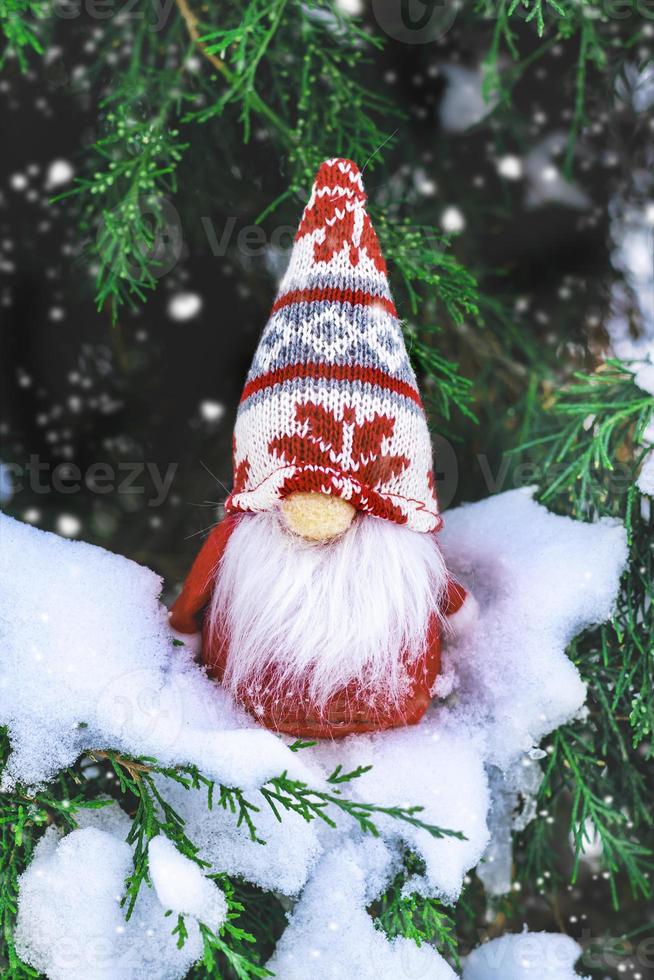 jul Semester kort söt scandinavian nisser med röd hatt och vit skägg på snöig vinter- bänk saga snöfall vintertid Hej december, januari, februari begrepp Lycklig ny år, jul foto