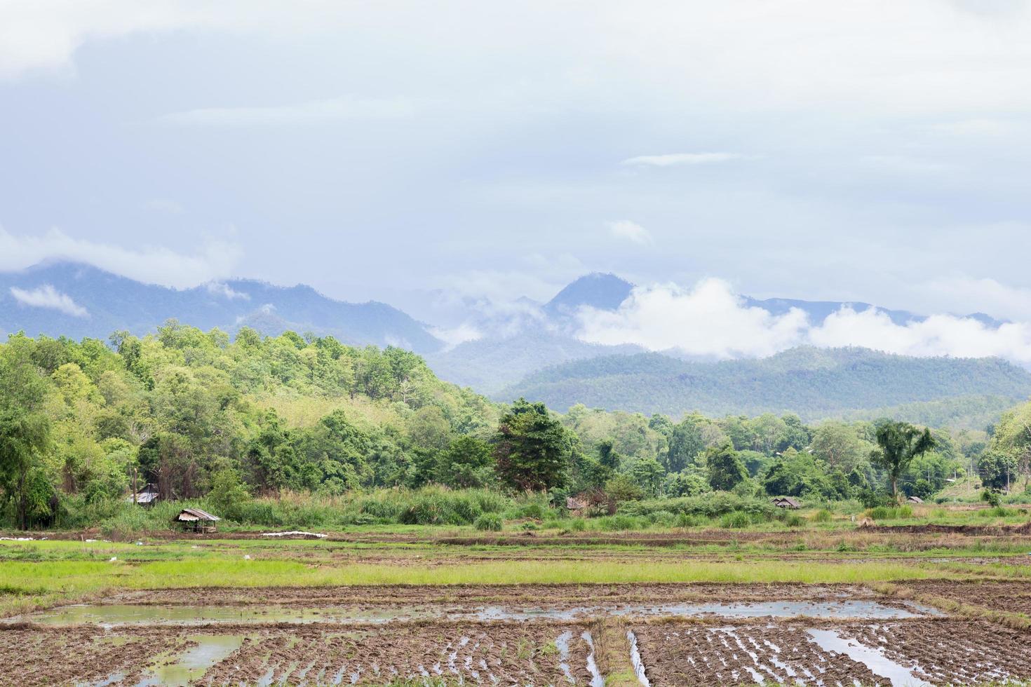 åkermark i Thailand foto