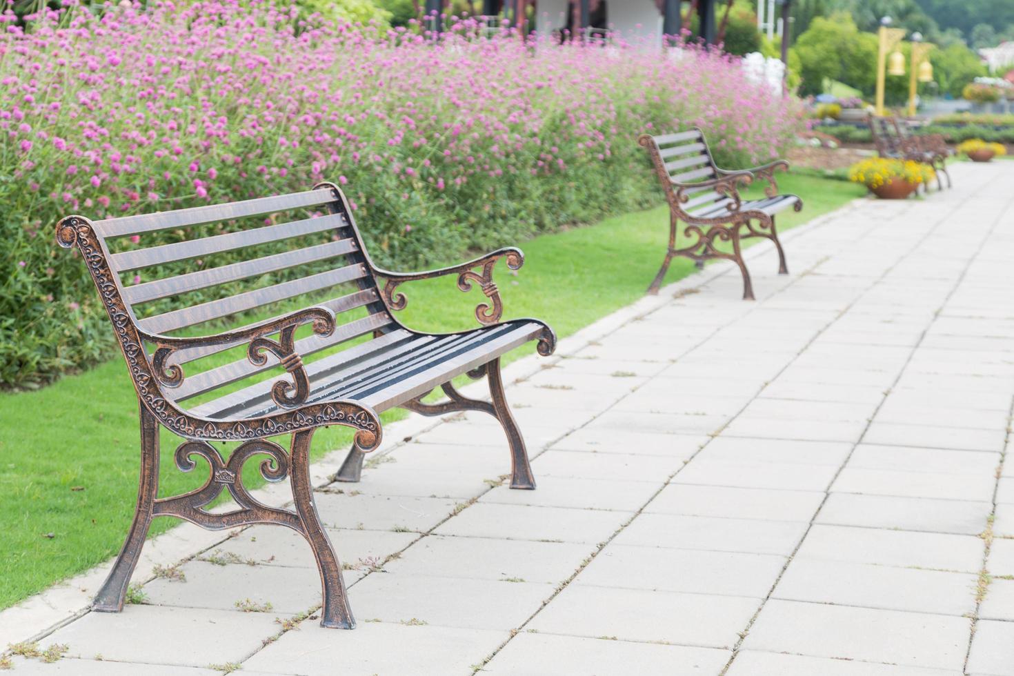 bänkar i parken foto