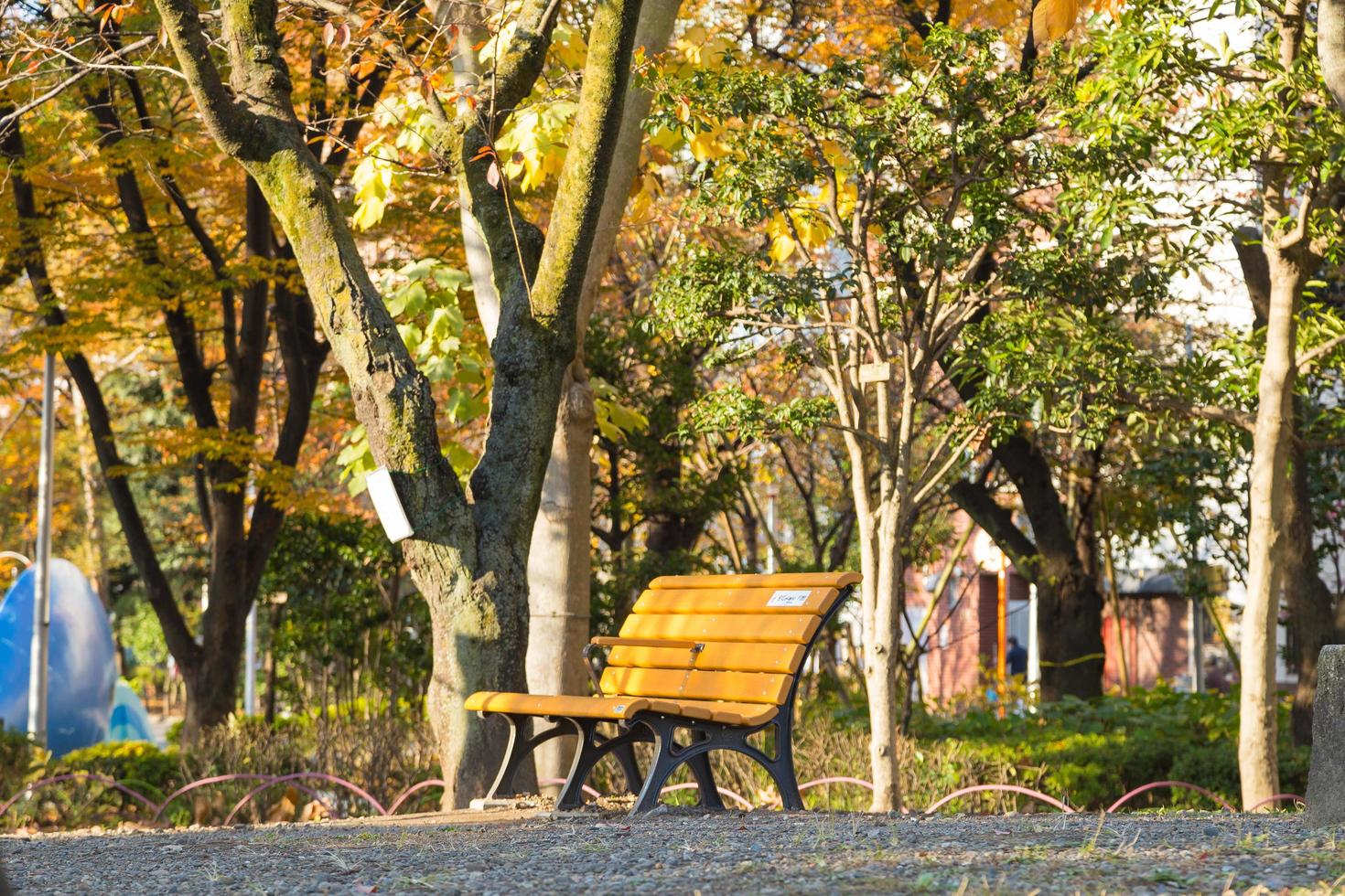 bänk i parken i tokyo, japan foto