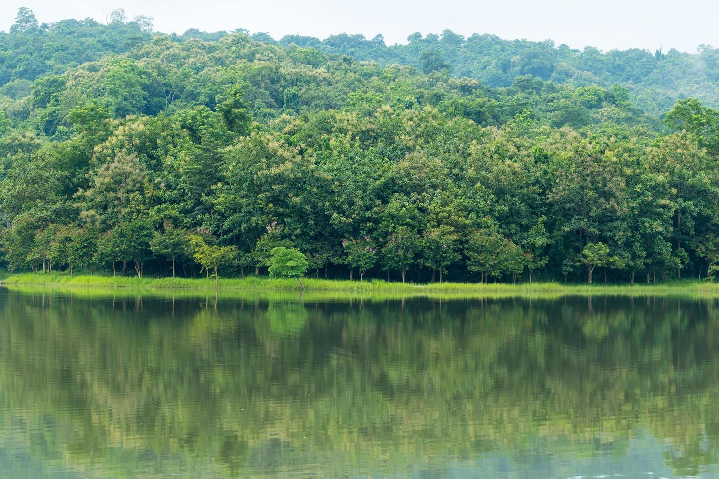 reservoar i Thailand foto