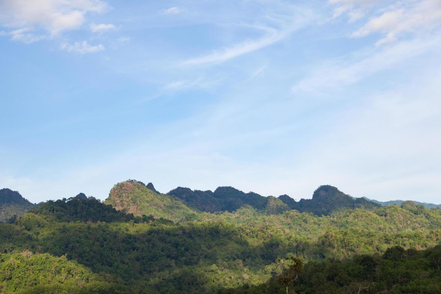 skogstäckta berg i Thailand foto