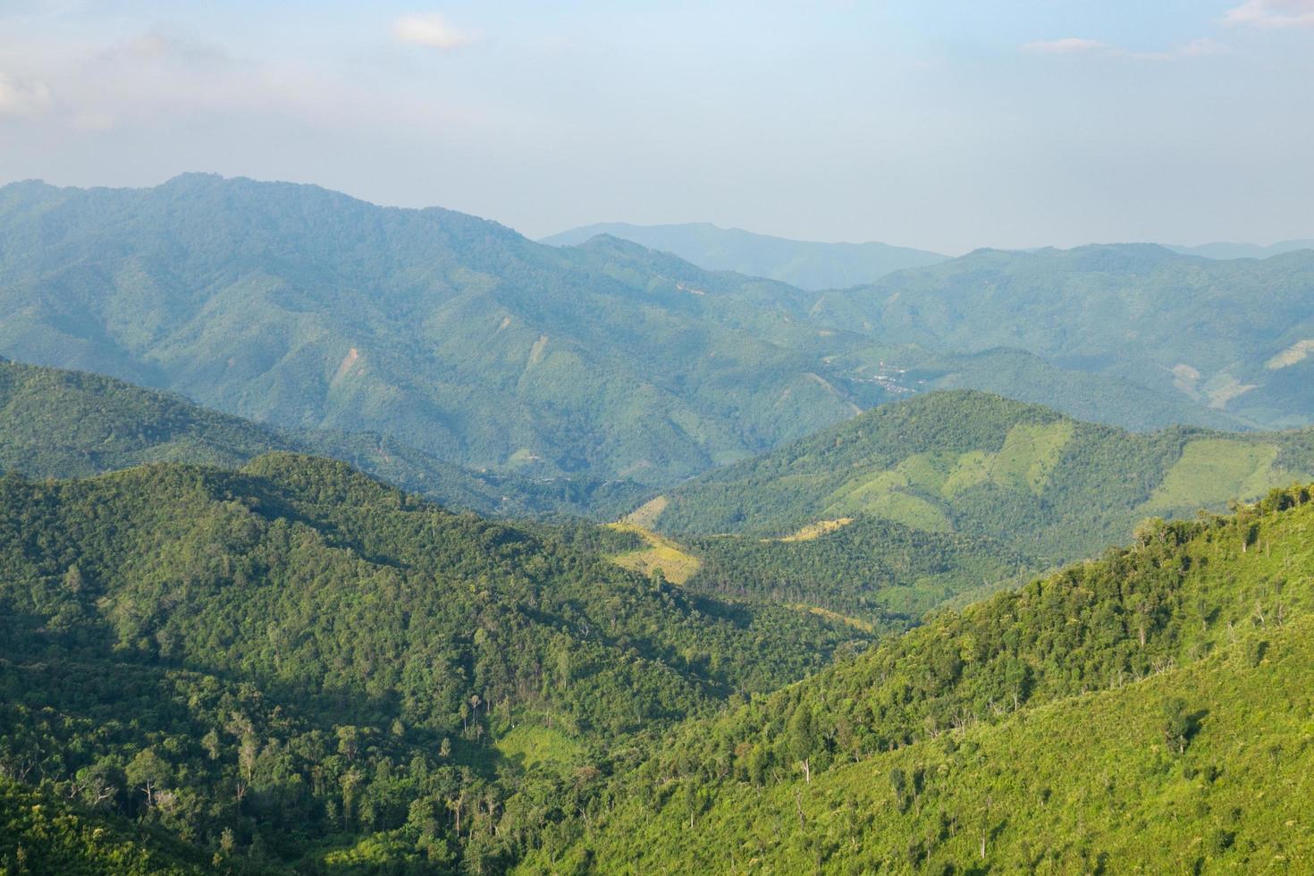 skog och berg i Thailand foto