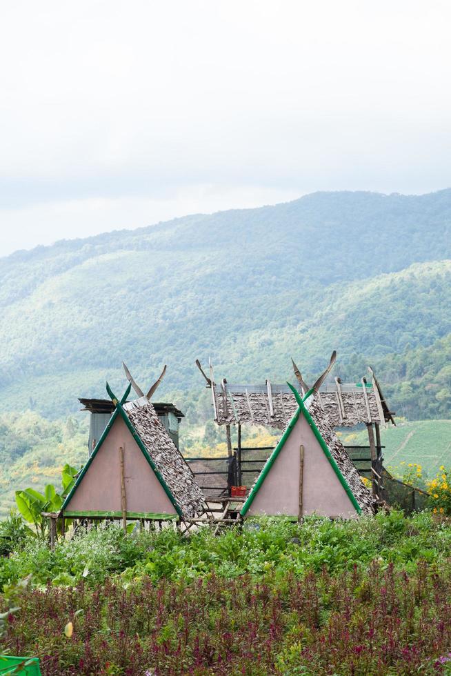 stugor på en gård i Thailand foto