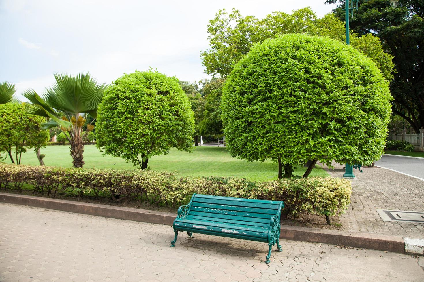 bänk i parken foto