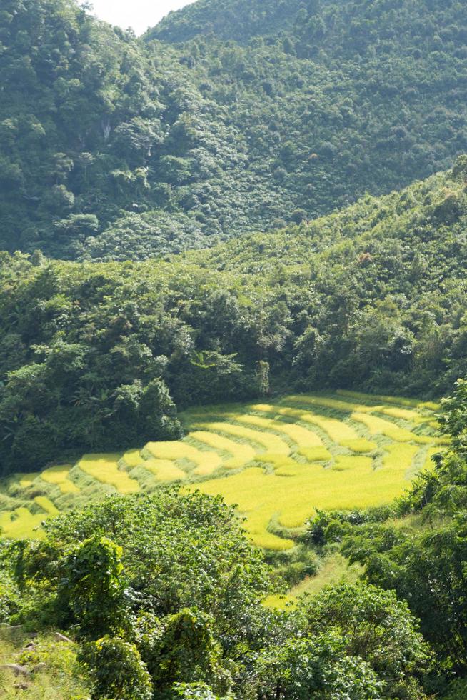 rislantgård på berget i Thailand foto