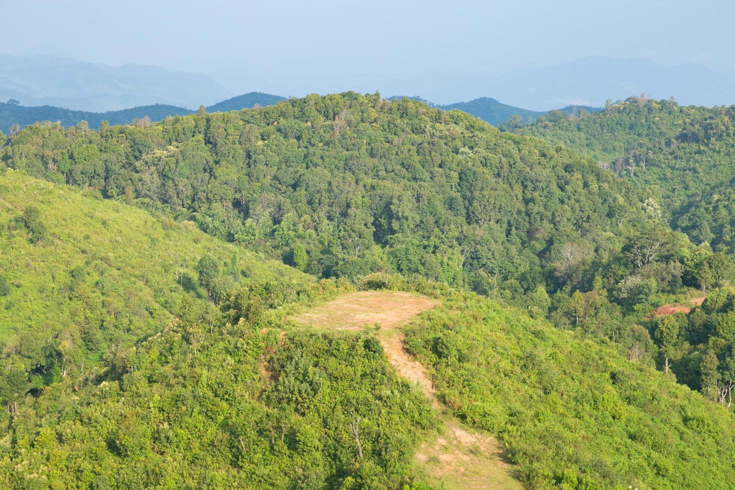 skog och berg i Thailand foto