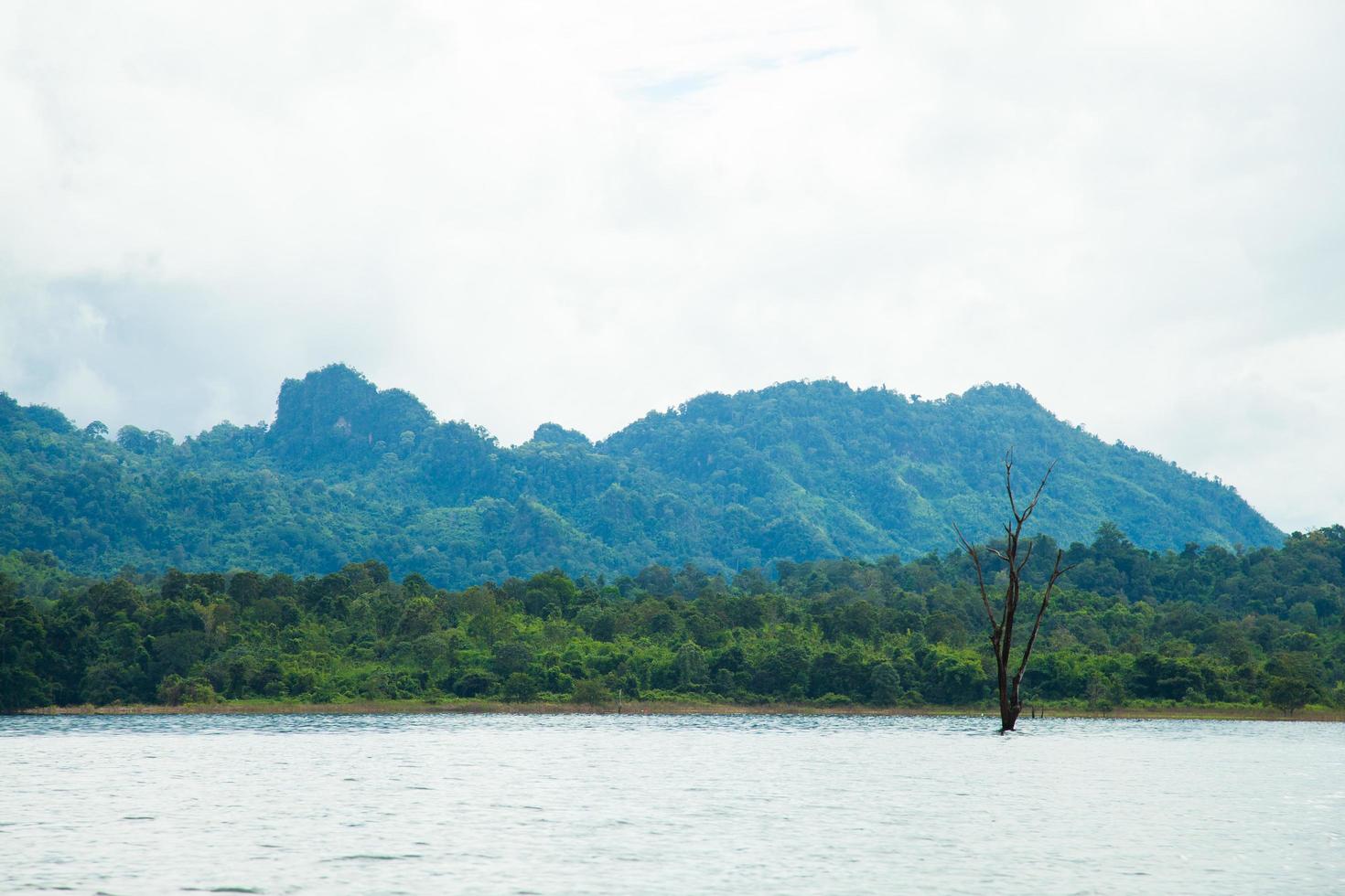 landskap i Thailand foto