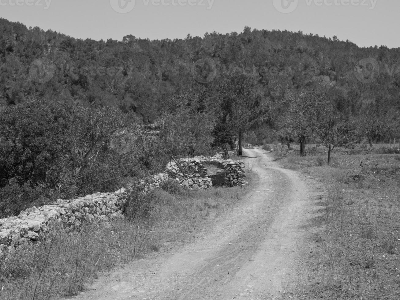 ön ibiza i spanien foto