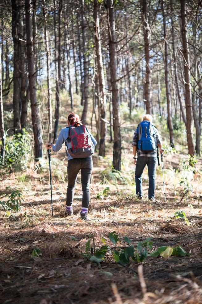 porträtt av vandring par backpacking i en tallskog foto