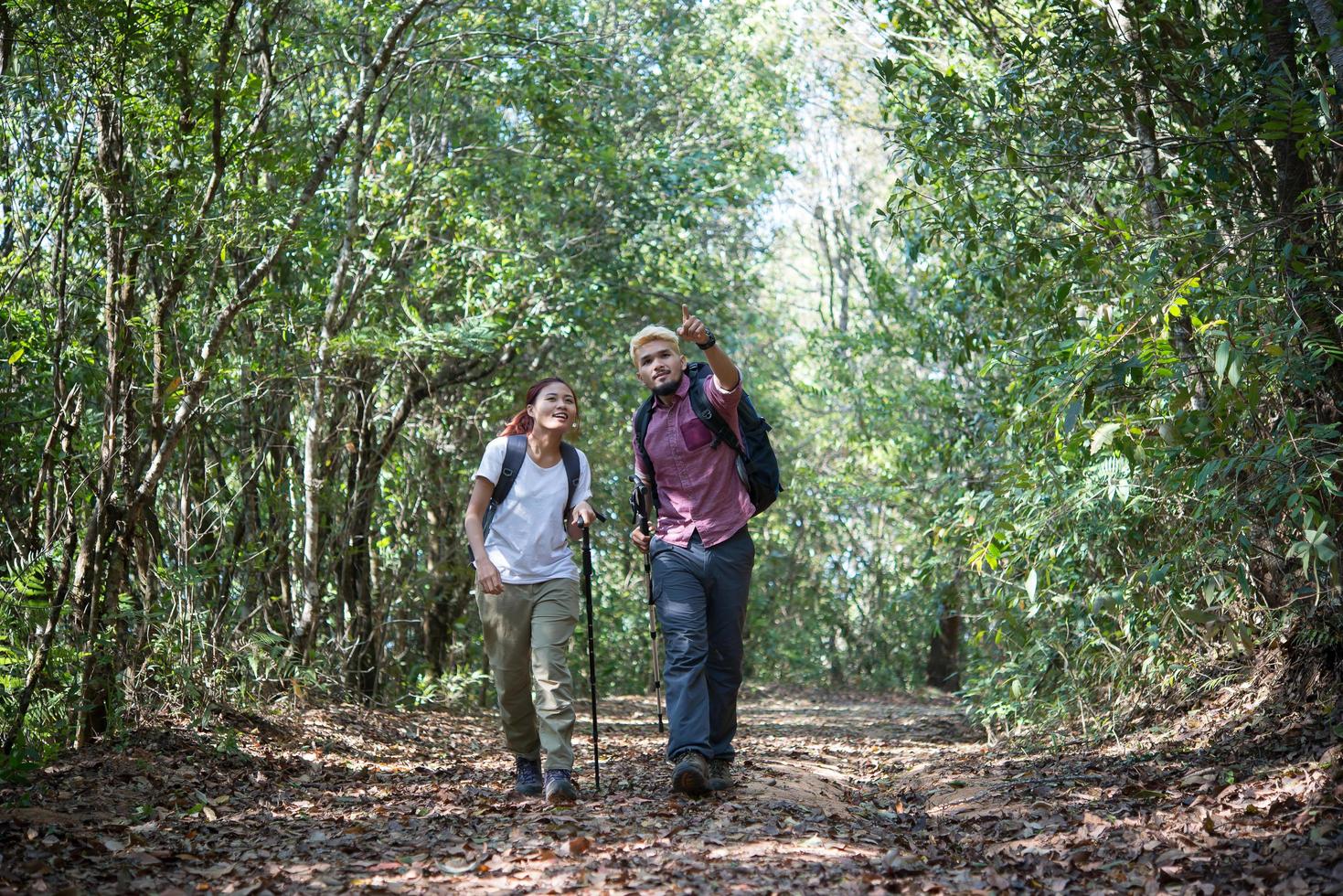 ungt attraktivt par som vandrar i skogen foto