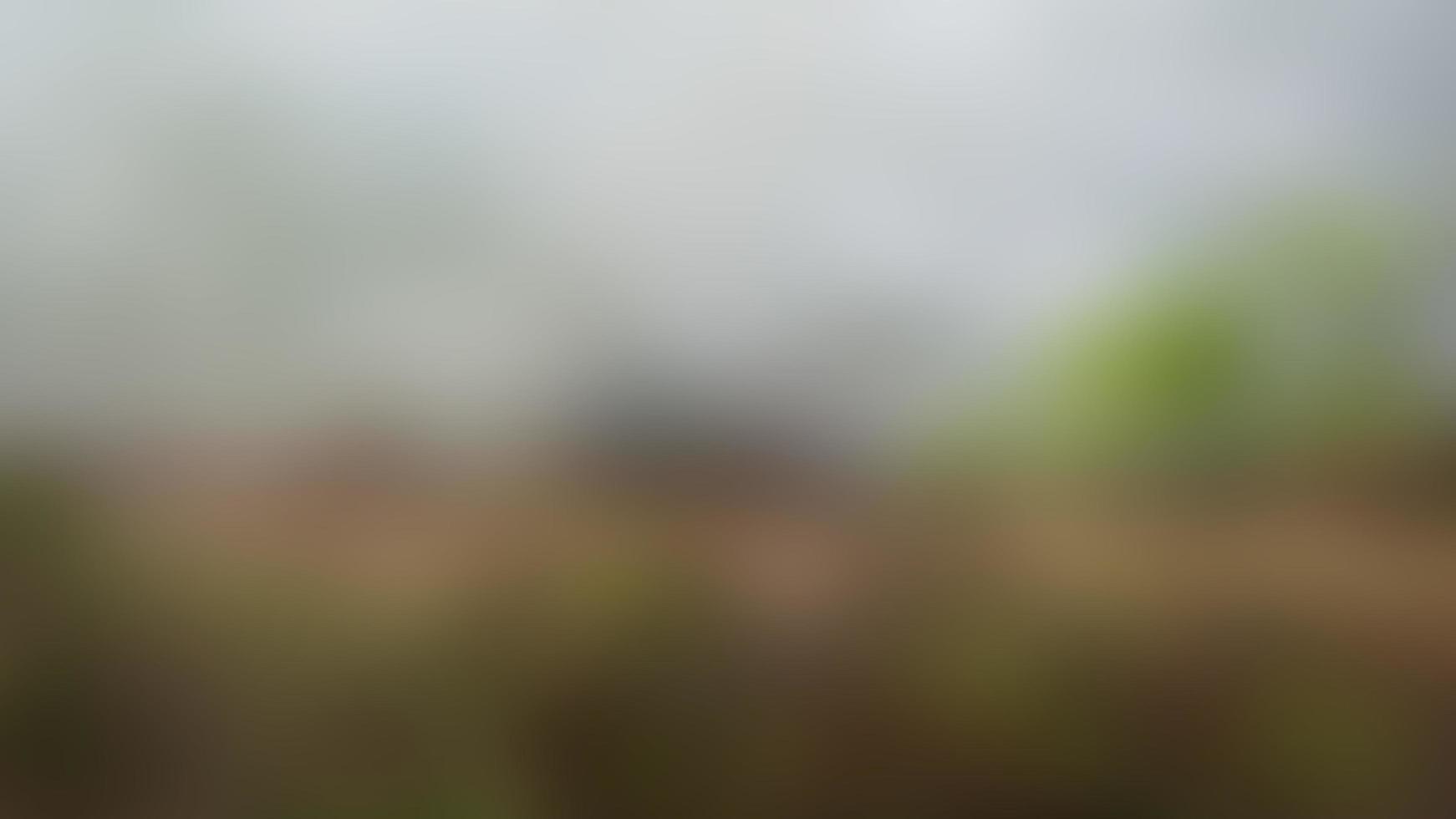 defocused vågig vatten med bark som bakgrund foto