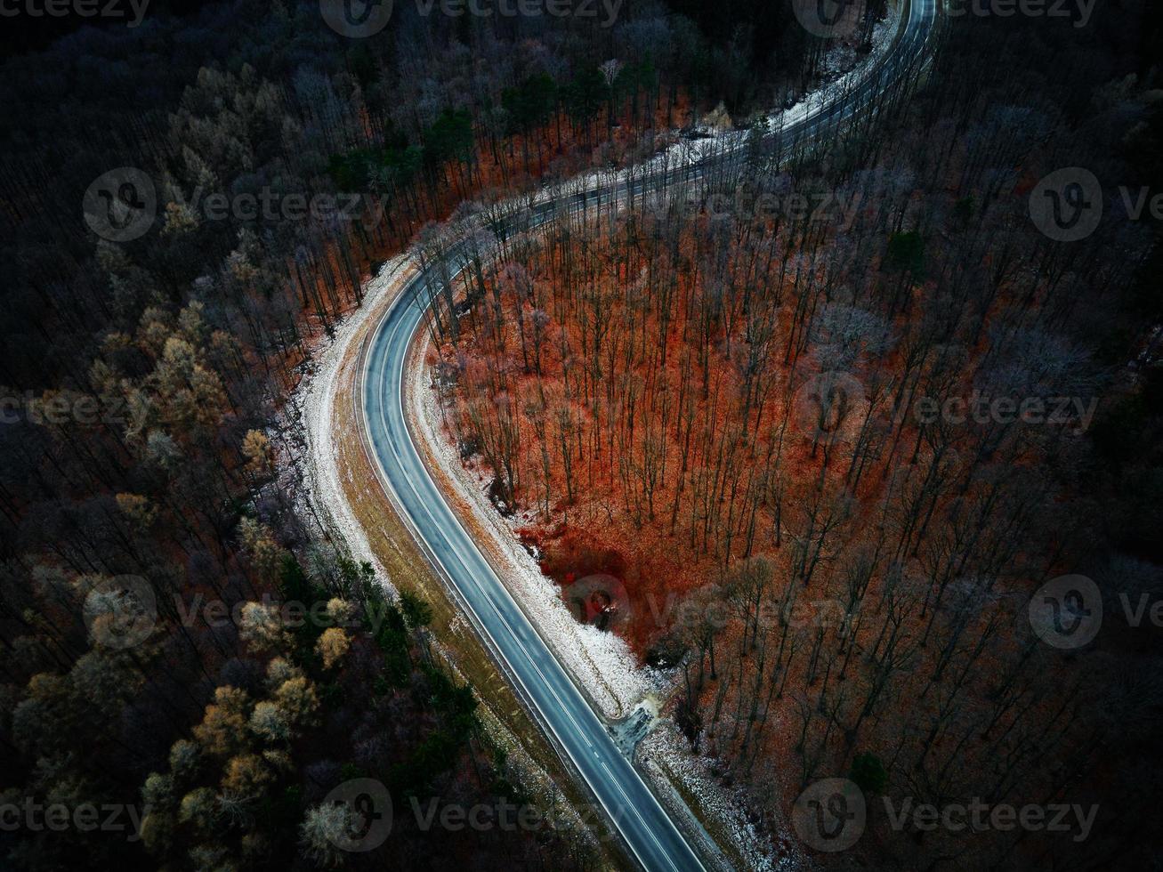 landskap med lindning väg genom skog, antenn se foto