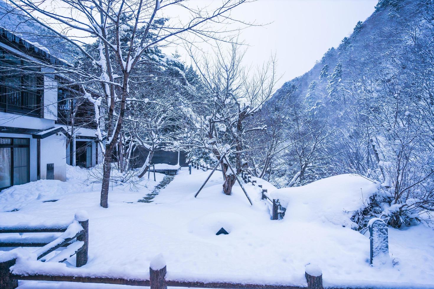 tung snö på heike Nej sato by i tochigi prefektur, nikko stad, japan foto