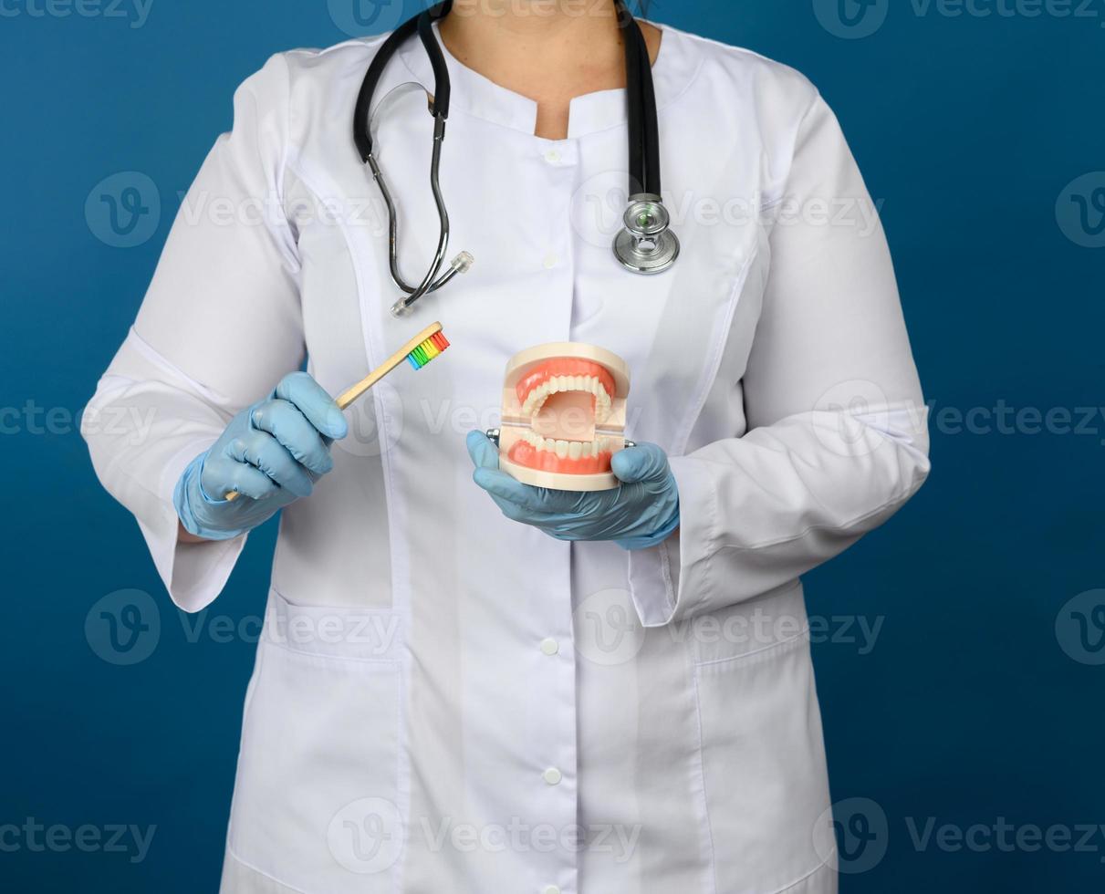 kvinna läkare i en vit täcka, en mask innehar en plast modell av en mänsklig käke och en trä- tandborste foto
