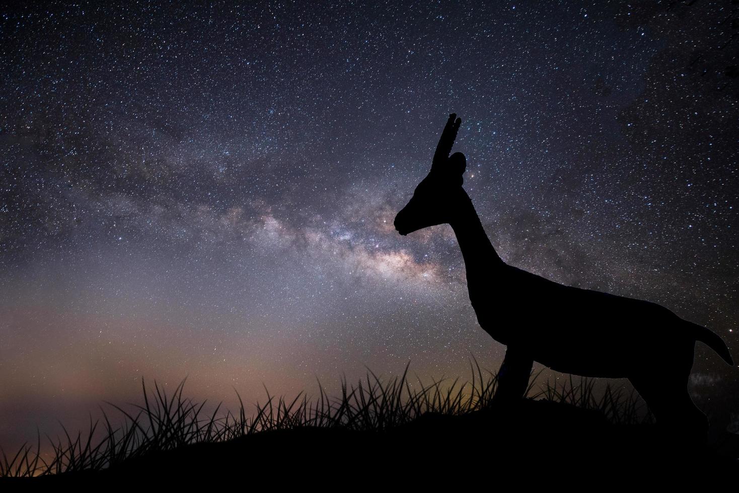 unga rådjur silhuett på natten med Vintergatan i himlen foto