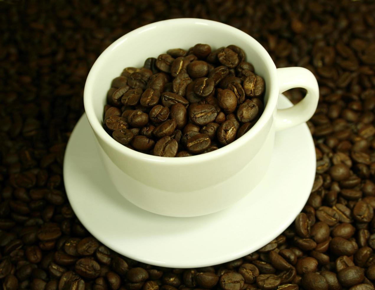 kaffebönor i kaffekoppen foto