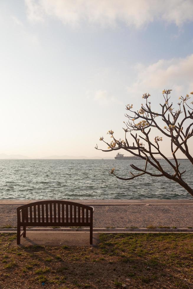 bänk vid havet foto