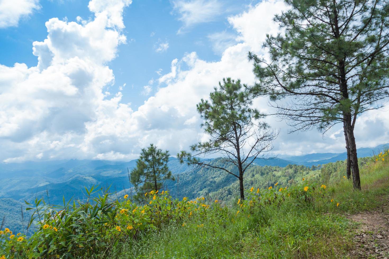 landskap i Thailand foto