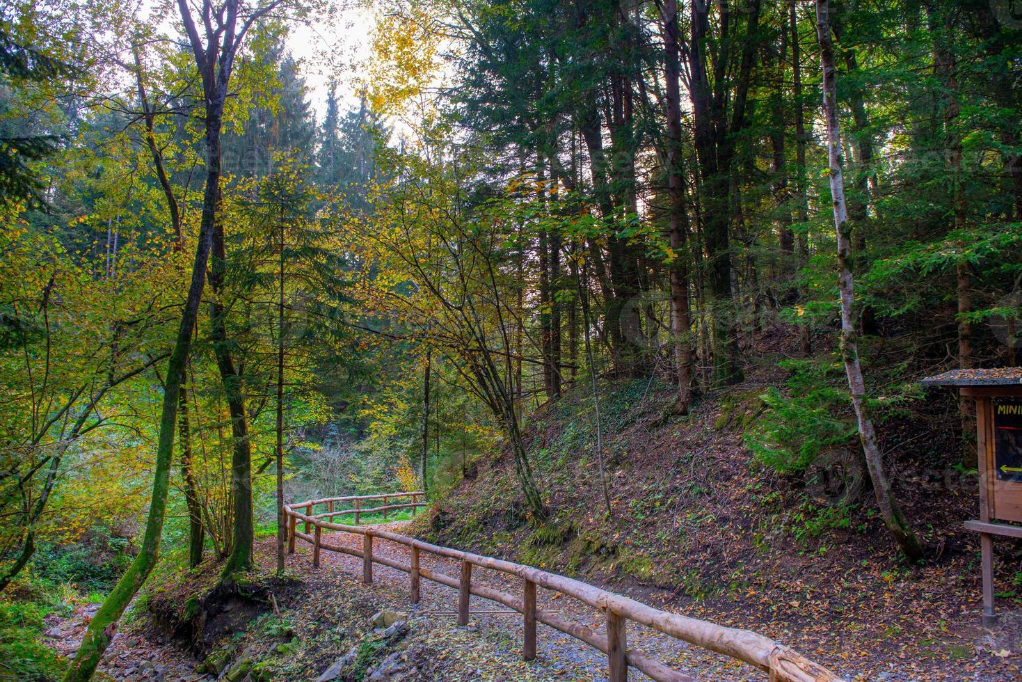 skyddande palissad på berg väg foto