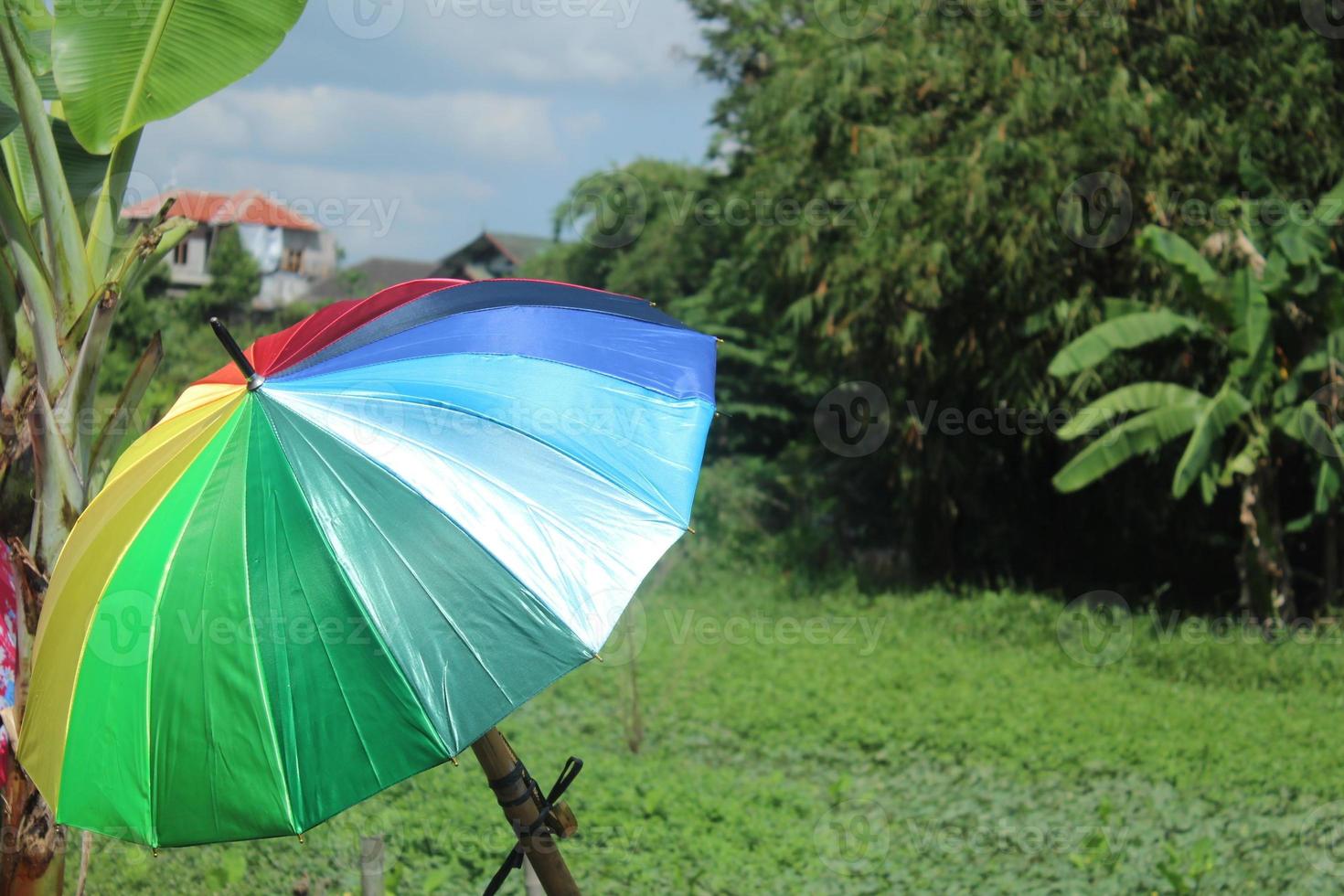 färgrik paraplyer på en solig dag på en suddigt bakgrund av grön träd foto