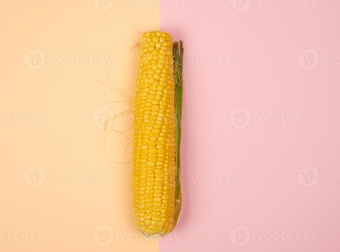 ett mogen gul majs majskolv, topp se foto